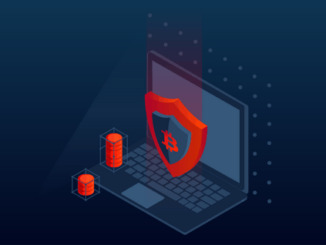 Получай поощрительные очки в казино Mr Bit